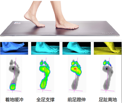 Footscan V9 足底压力测试分析系统