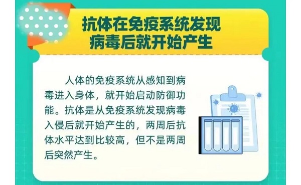 感染病毒后即产生抗体