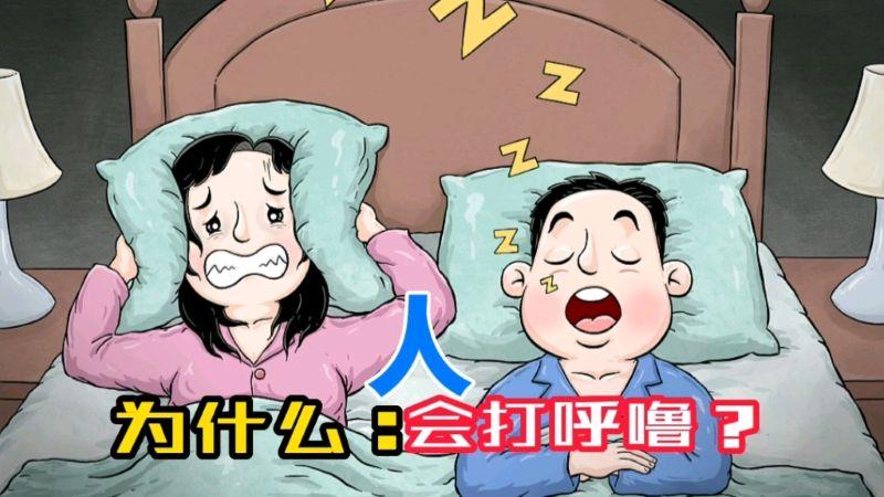 打呼噜